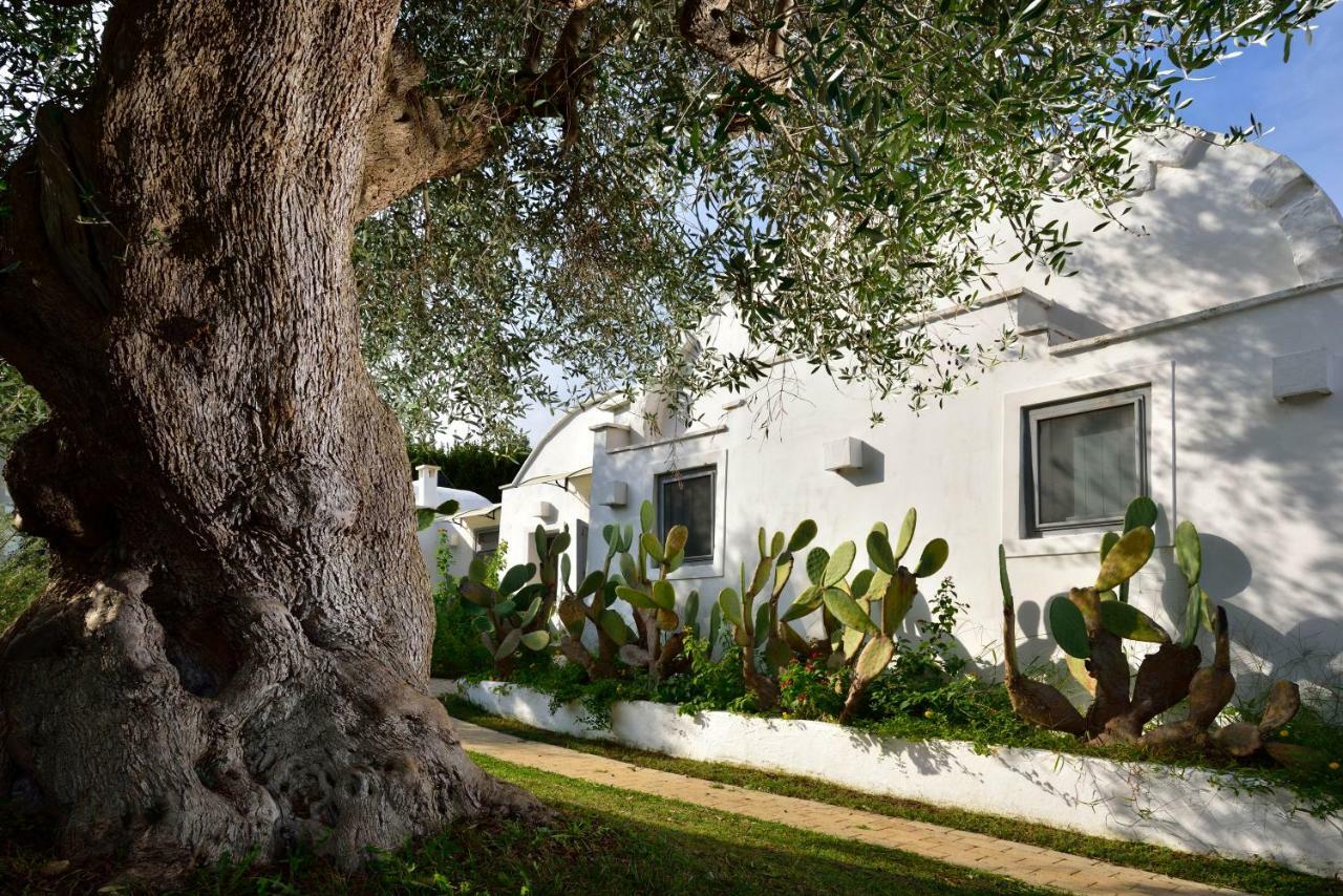 B&B Trullo Barbagiullo Cisternino Εξωτερικό φωτογραφία